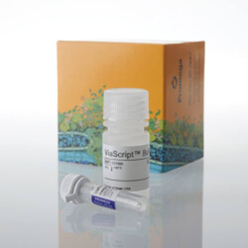 ViaScript(R) mRNA Transfection Reagent, 10 plates