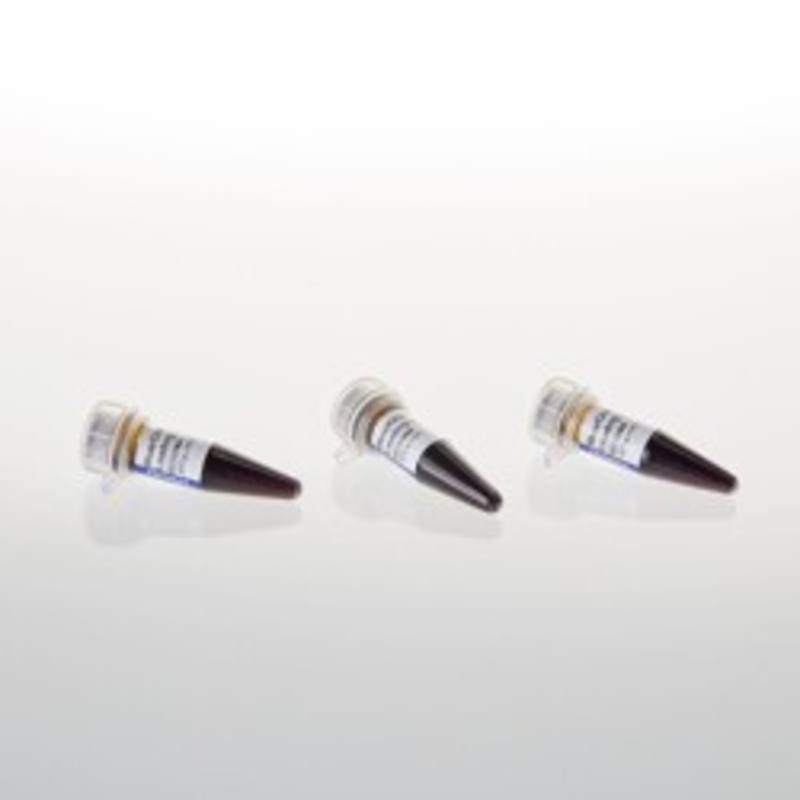 Blue/Orange Loading Dye, 6X, 3ml (3x1ml)