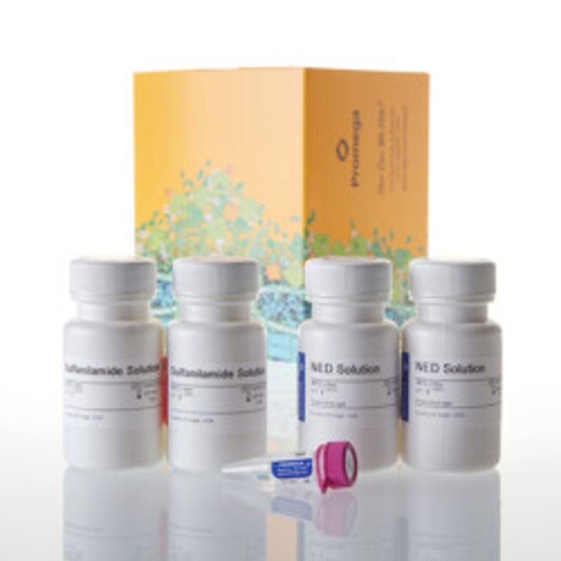 Griess Reagent System