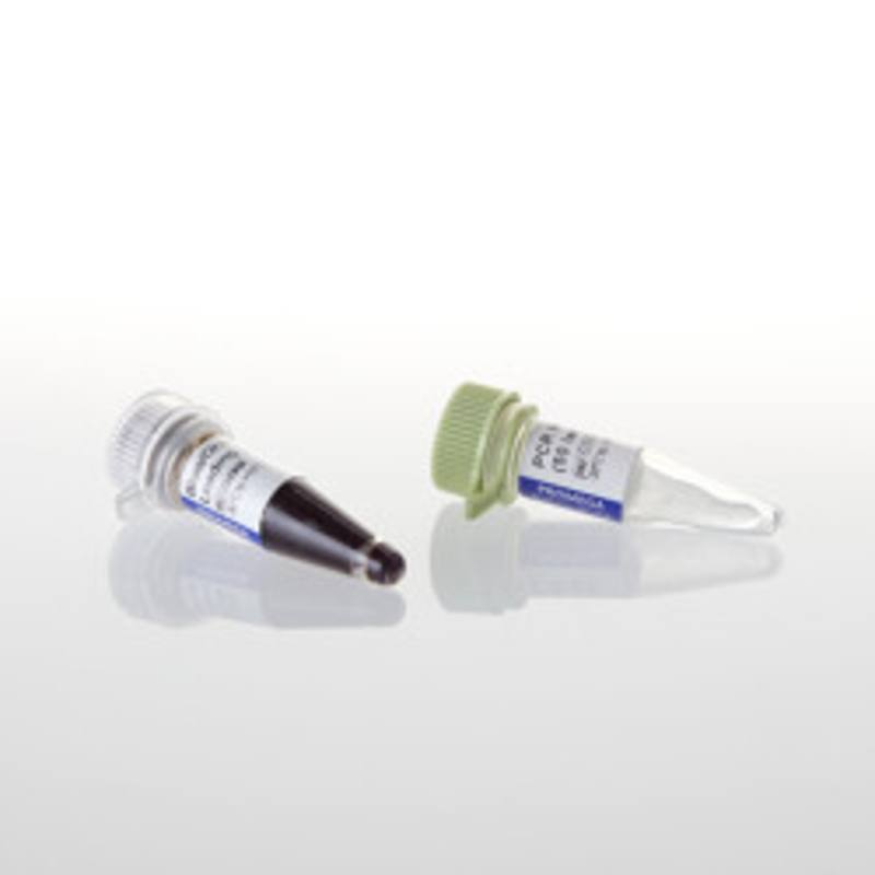 PCR Marker, 250ul (50 lanes)