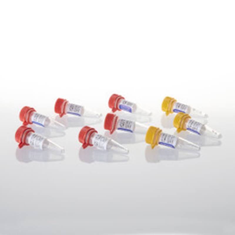 HaloTag(R) Flexi(R) Vectors-CMV Deletion Series Sample Pk