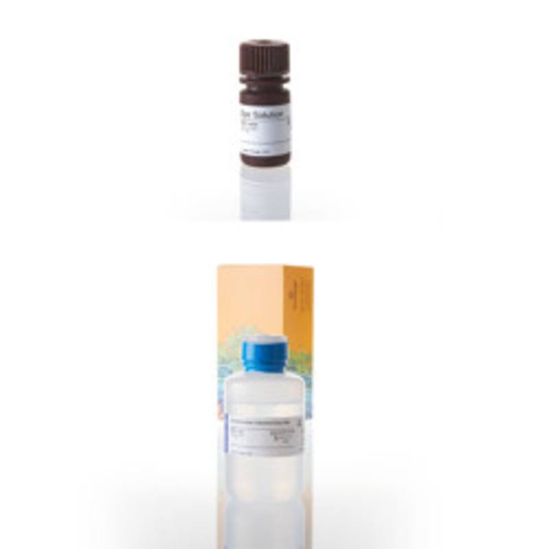 CellTiter 96(R) Non-Rad Cell Prolif Assay, 10X96well plt
