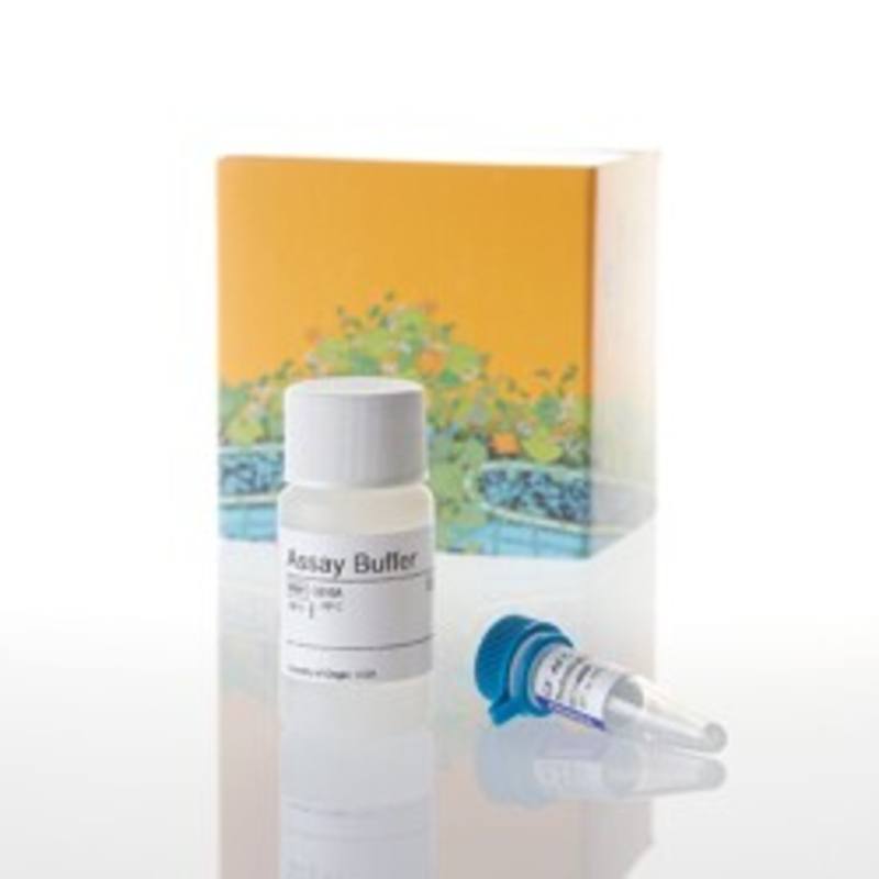 CellTiter-Fluor(TM) Cell Viability Assay, 10ml