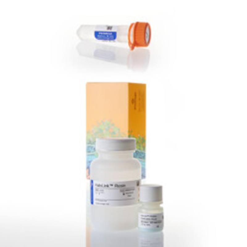 HaloTag(R) Protein Purification System