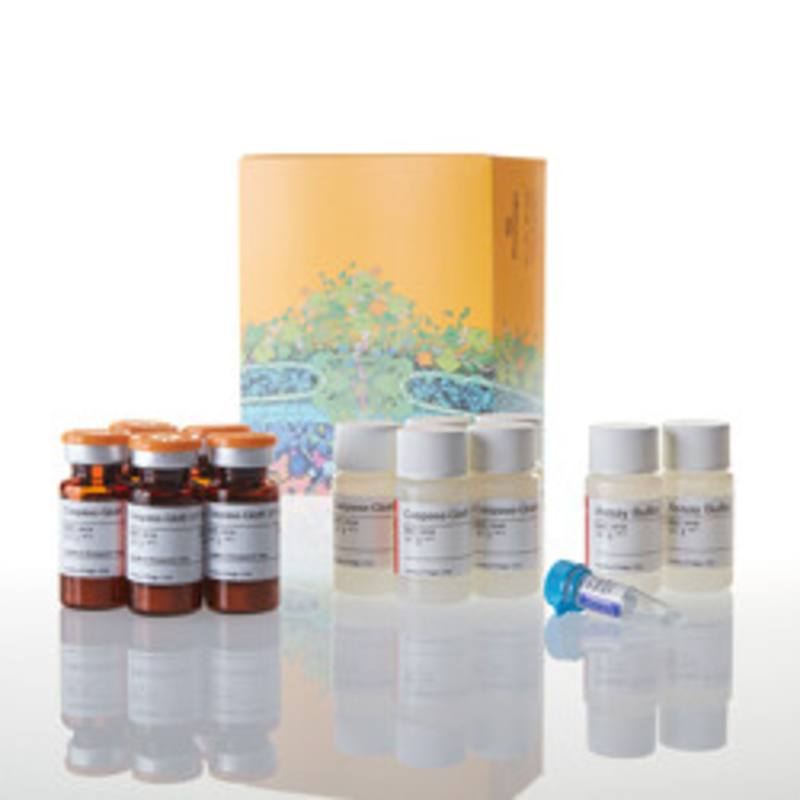 ApoLive-Glo(TM) Multiplex Assay, 5 X 10ml