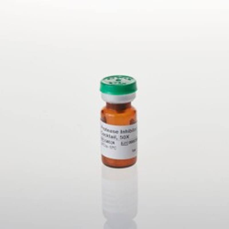 Protease Inhibitor Cocktail, 50X, 1ml