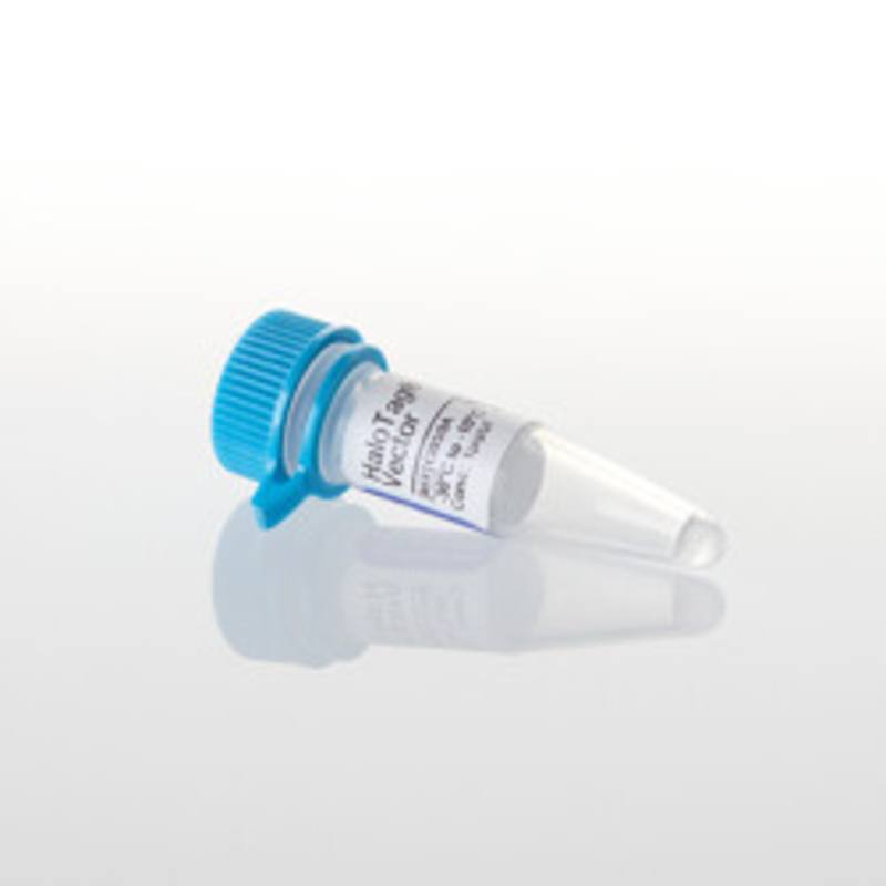 HaloTag(R) Control Vector, 20ug
