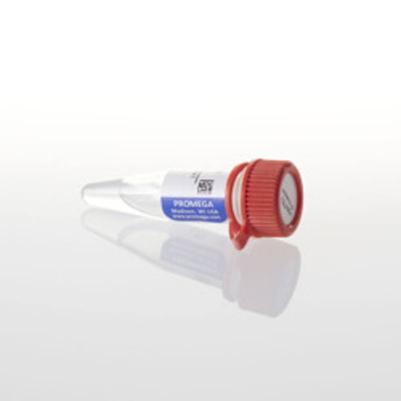 HaloTEV Protease, 200 ul