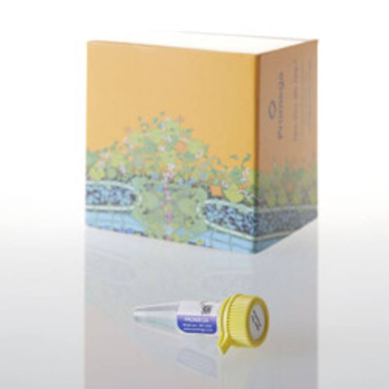 HaloTEV Protease, 800 ul