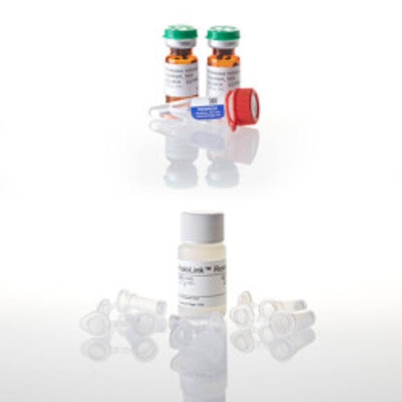 HaloTag(R) Mammalian Protein Purification System
