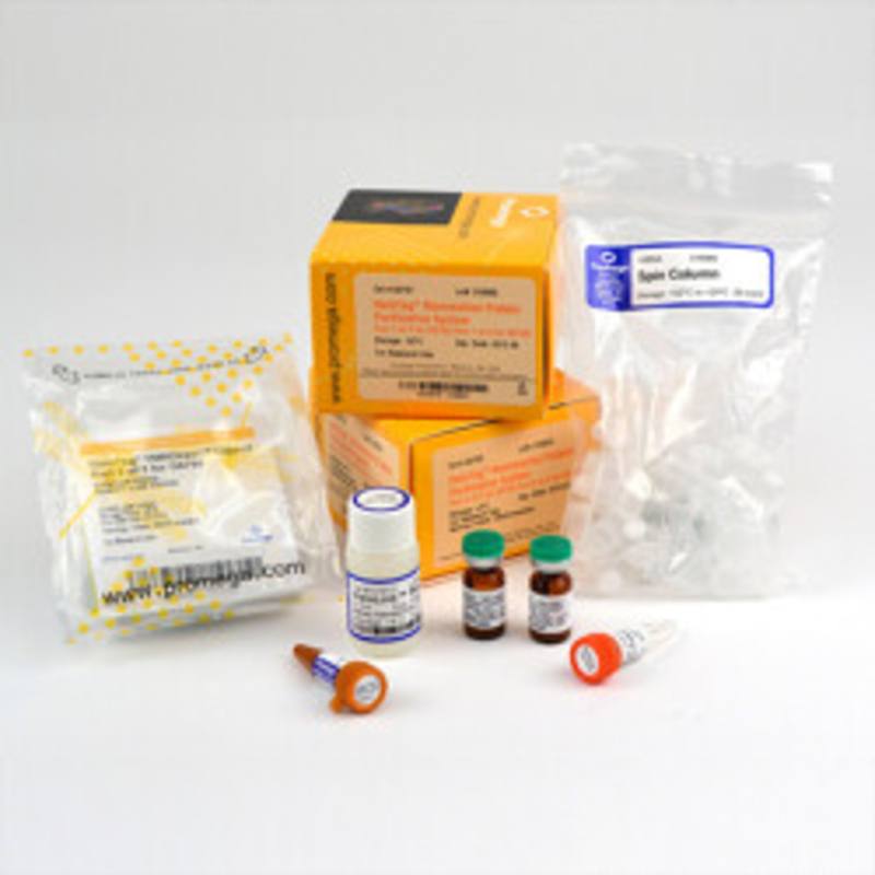 HaloTag(R) Mammalian Protein DetectionandPurification System