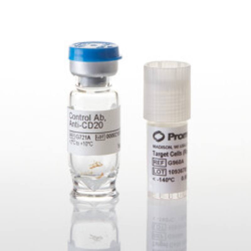 ADCC Reporter Bioassay, Target Kit (WIL2-S)