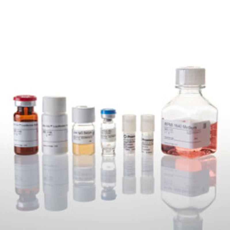 ADCC Reporter Bioassay, Complete Kit (WIL2-S)