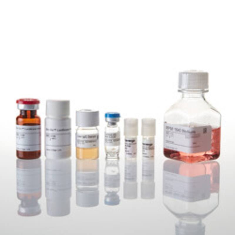 ADCC Reporter Bioassay, Complete Kit (Raji)