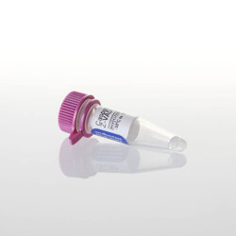 Caspase Inhibitor Z-VAD-FMK 20mM, 50ul
