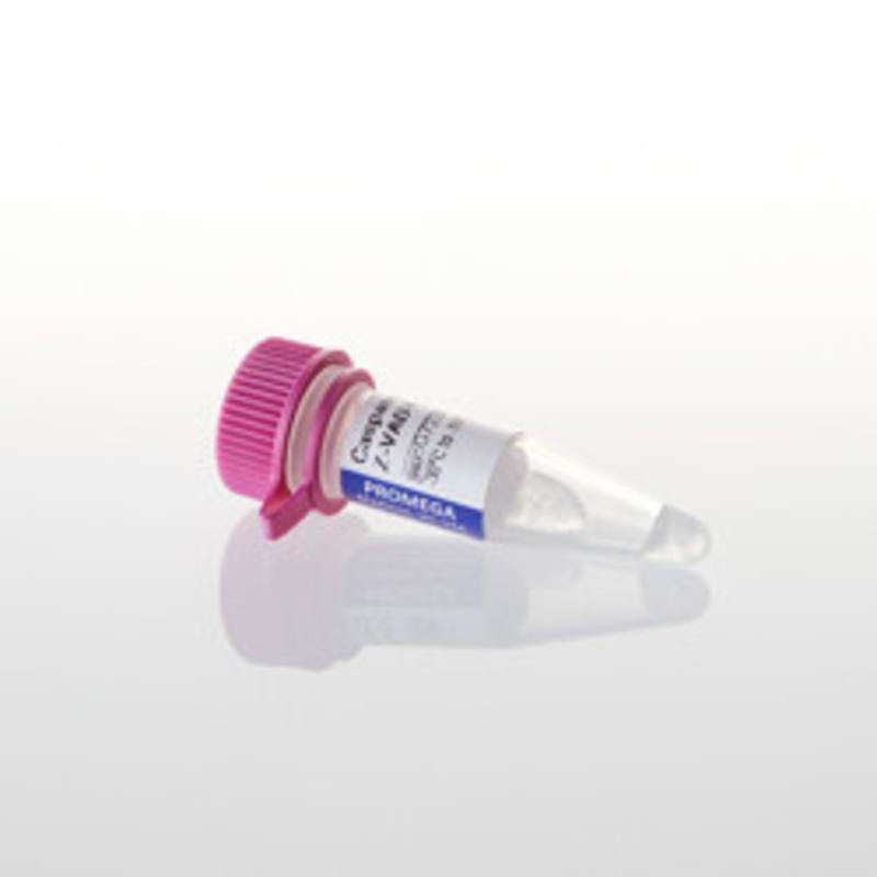 Caspase Inhibitor Z-VAD-FMK 20mM, 125ul