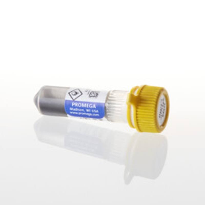 Magne(TM) HaloTag(R) Beads, 20% Slurry, 1ml