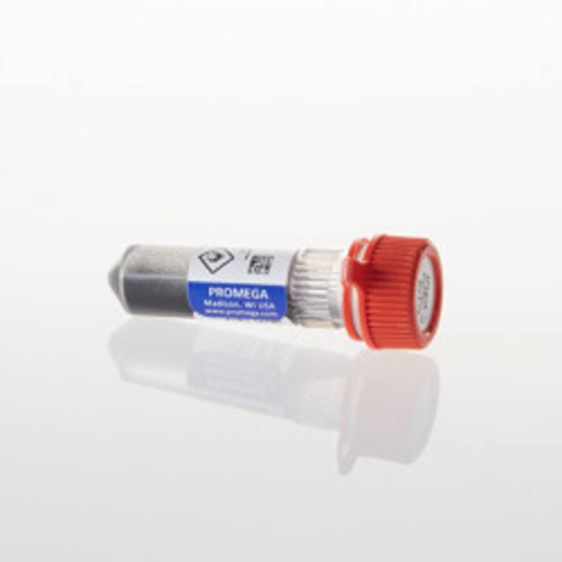 Magne(TM) Protein G Beads, 1ml