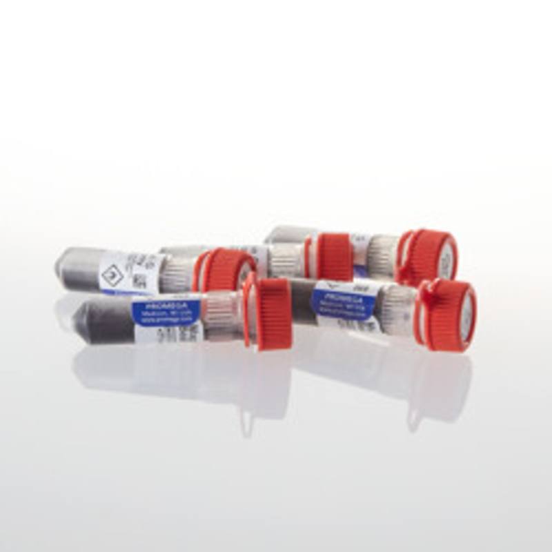 Magne(TM) Protein G Beads, 5ml (5 x 1ml)
