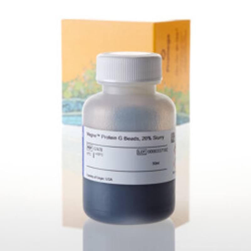 Magne(TM) Protein G Beads, 50ml