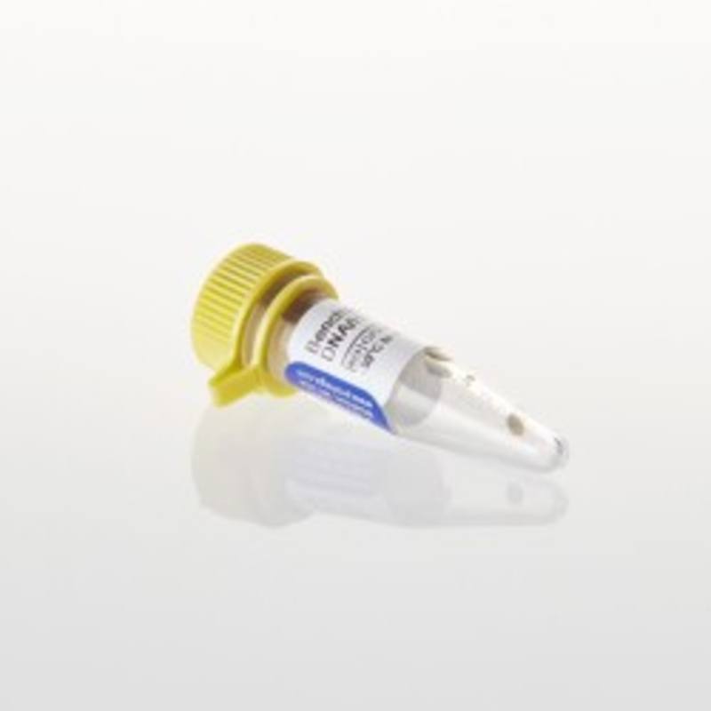BenchTop PhiX174 DNA/Hae III Markers, 250ul