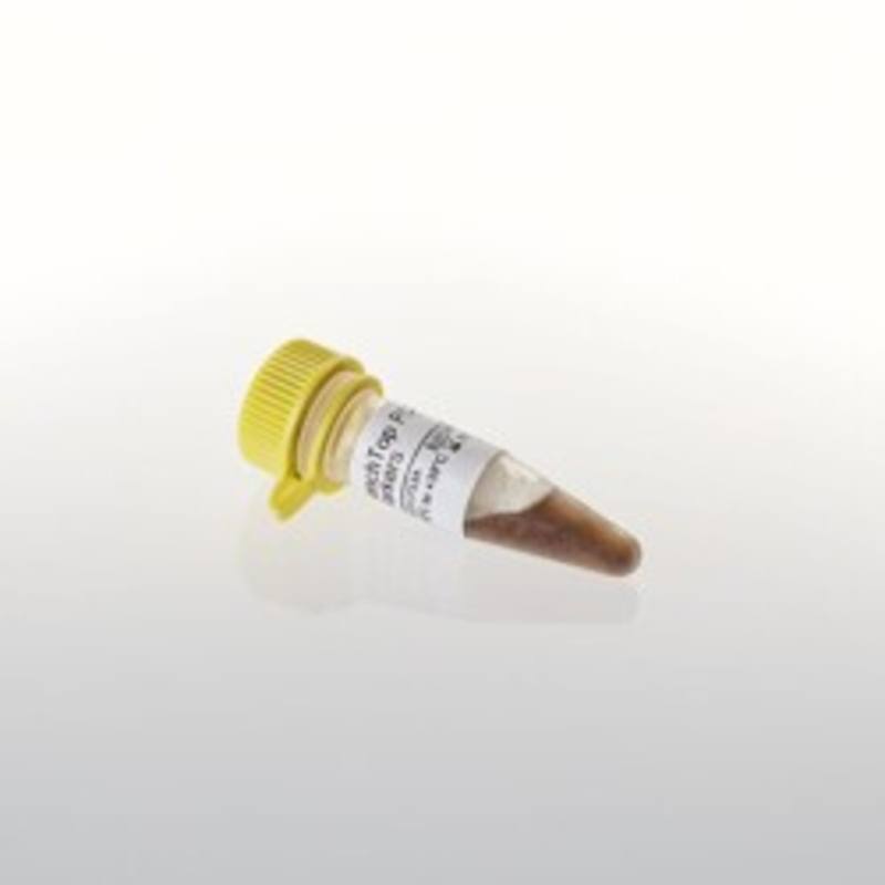 BenchTop PCR Markers, 300ul