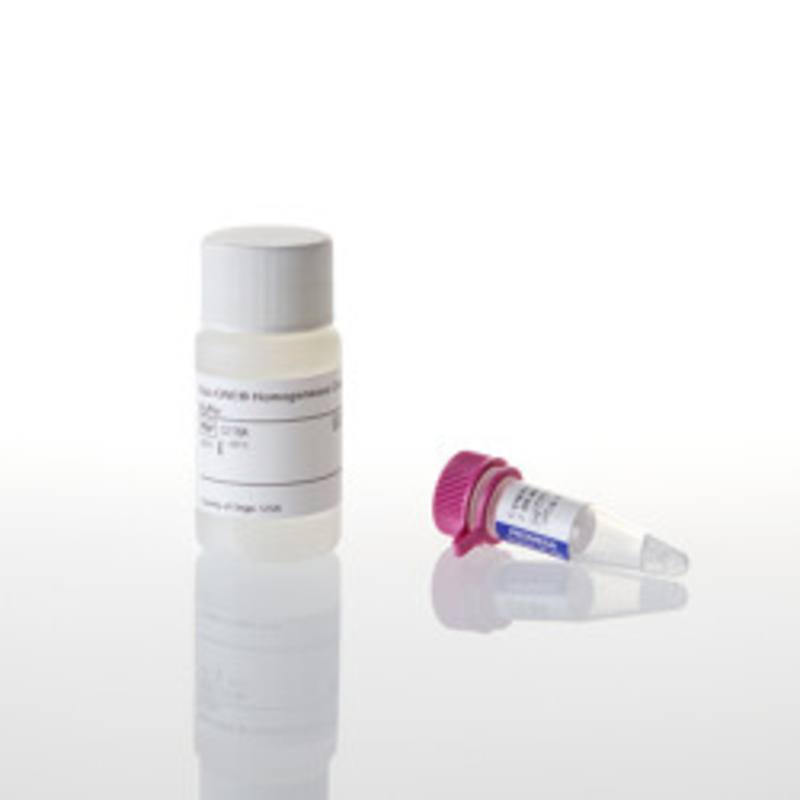 Apo-ONE(R) Homogeneous Caspase -3/7 Assay, 10ml