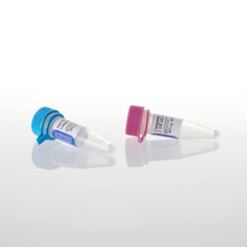 Apo-ONE(R) Homogeneous Caspase -3/7 Assay, 1ml