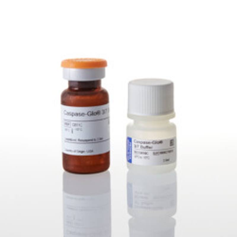 Caspase-Glo(R) 3/7 Assay, 2.5ml