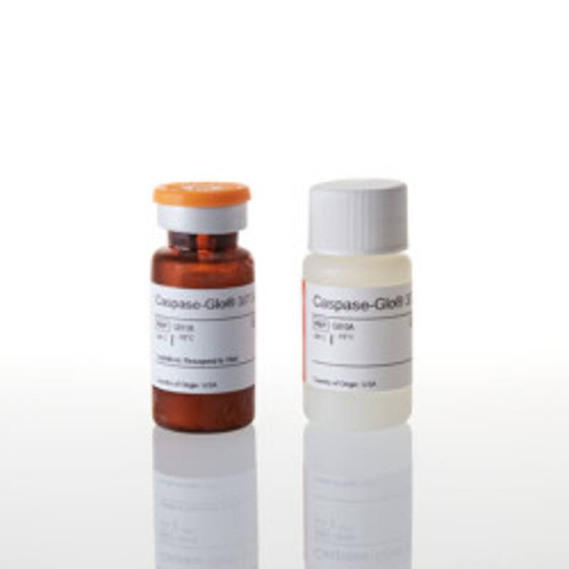 Caspase-Glo(R) 3/7 Assay, 10ml