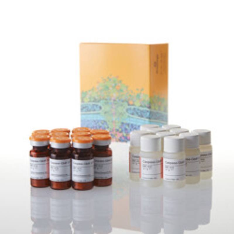 Caspase-Glo(R) 3/7 Assay, 10 x 10ml