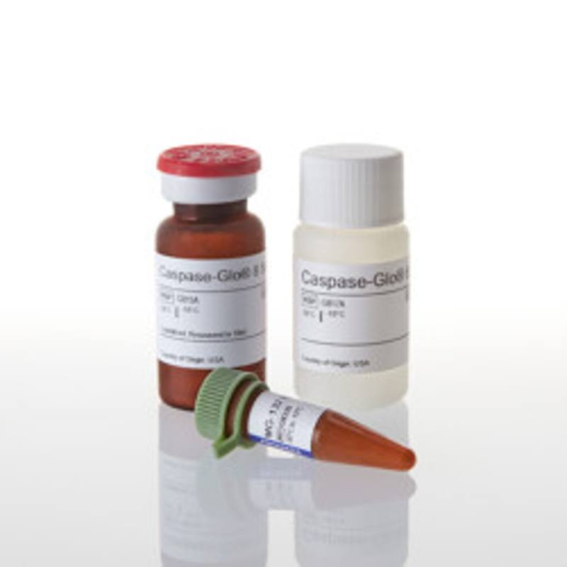 Caspase-Glo(R) 8 Assay, 10ml