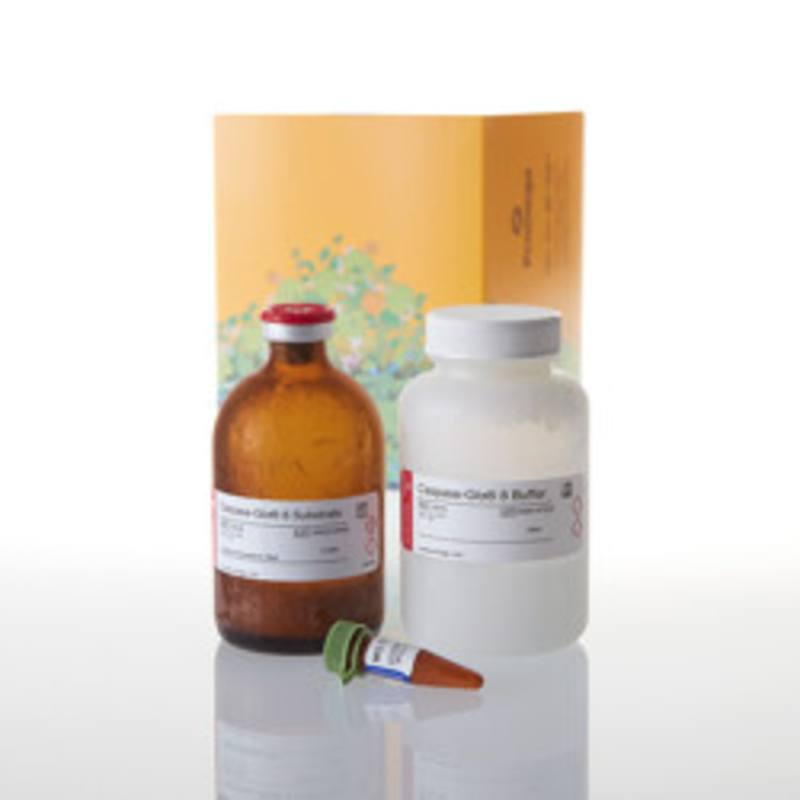 Caspase-Glo(R) 8 Assay, 100ml