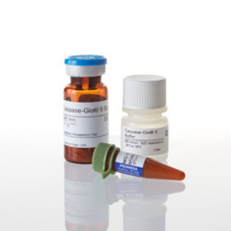 Caspase-Glo(R) 9 Assay, 2.5ml