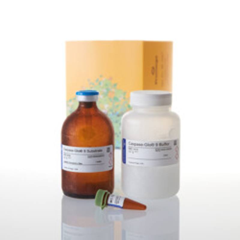 Caspase-Glo(R) 9 Assay, 100ml