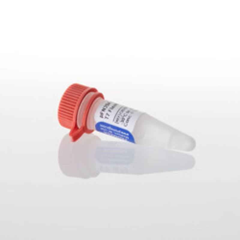 pFN29A His6HaloTag(R) T7 Flexi(R) Vector