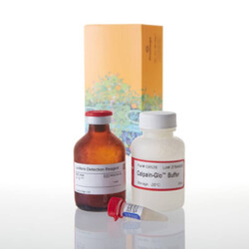 Calpain-Glo(TM) Protease Assay 50ml