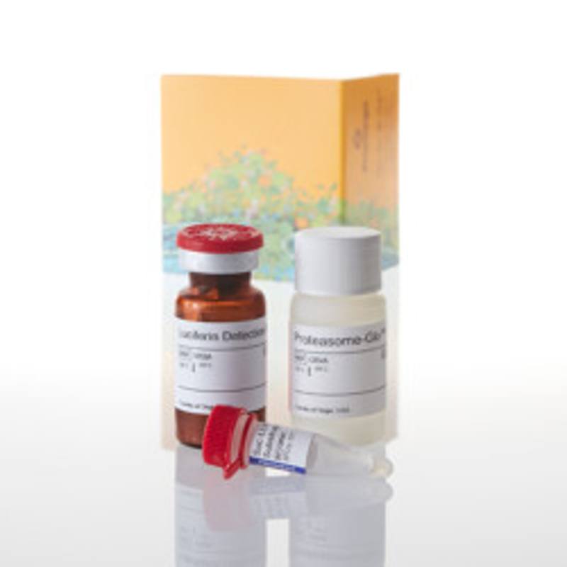 Proteasome-Glo(TM) Chymotrypsin-Like Assay, 10ml