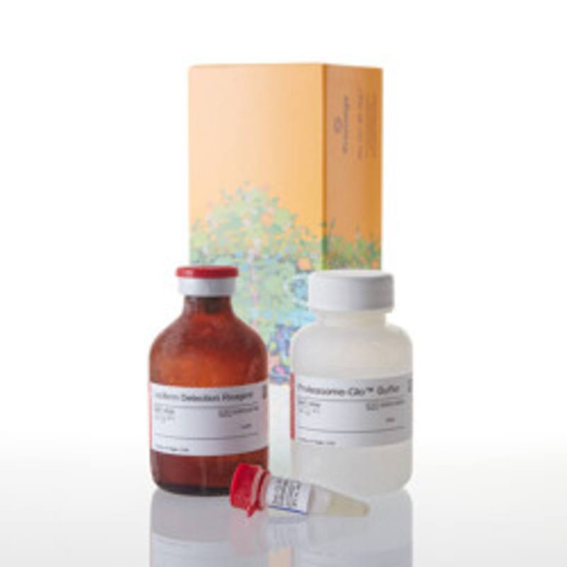 Proteasome-Glo(TM) Chymotrypsin-Like Assay, 50ml