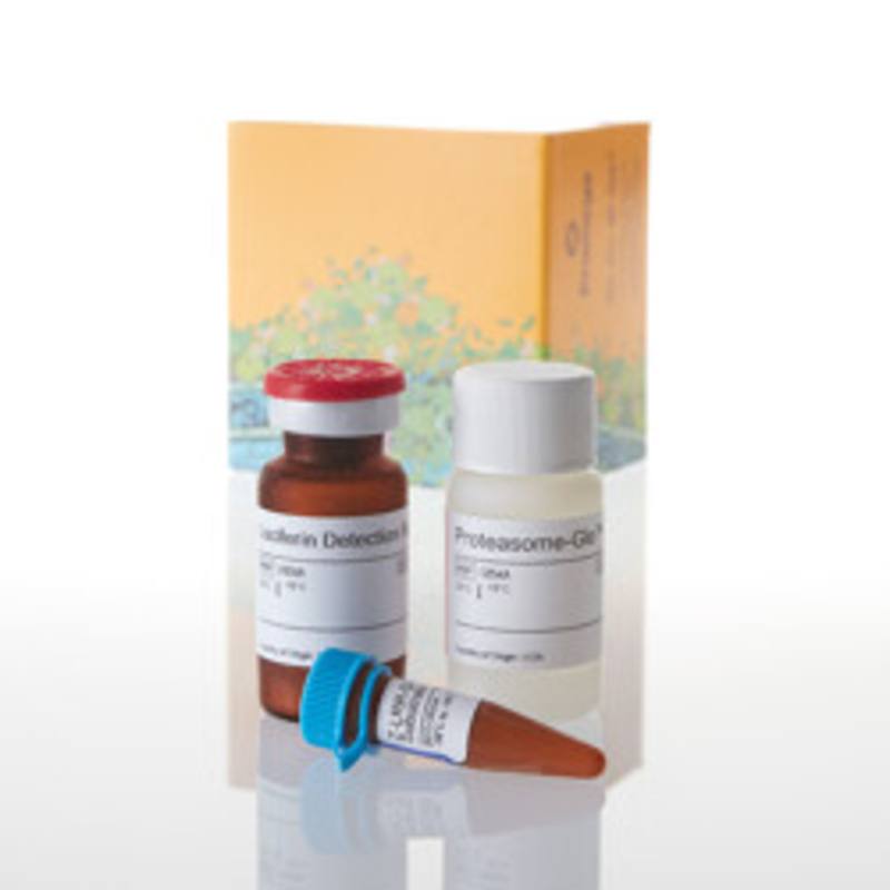 Proteasome-Glo(TM) TrypsinLike Assay, 10ml
