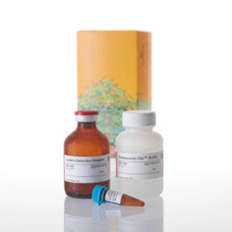 Proteasome-Glo(TM) TrypsinLike Assay, 50ml