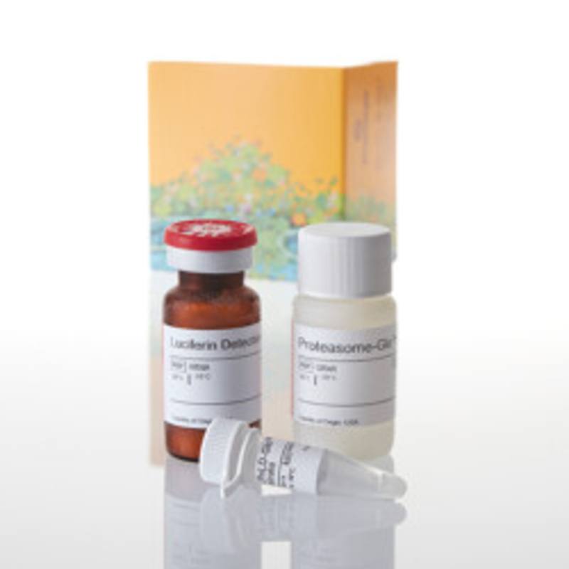 Proteasome-Glo(TM) CaspaseLike Assay, 10ml