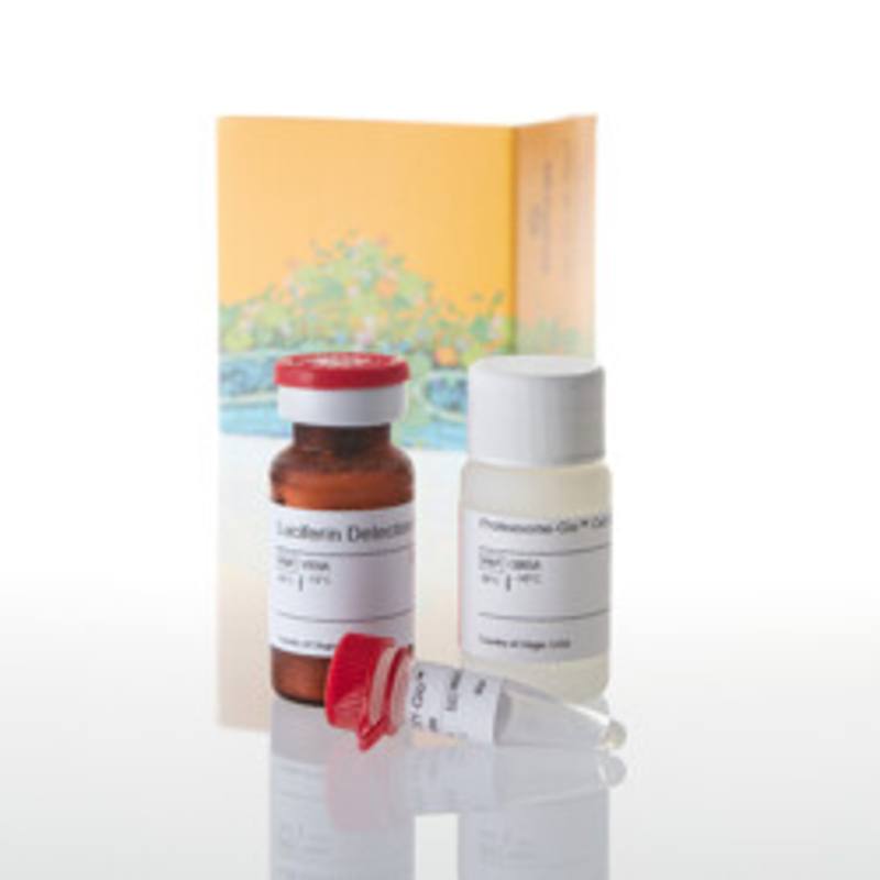 Proteasome-Glo(TM) Chymotrypsin-Like Cell-Bas Asy