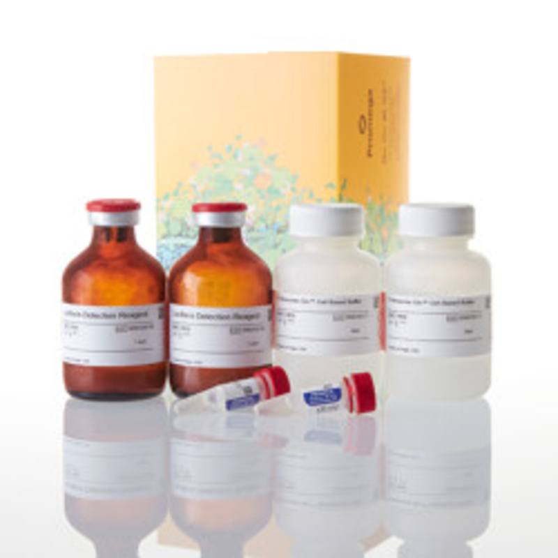 Proteasome-Glo(TM) Chymotrypsin-Like Cell-Bas Asy