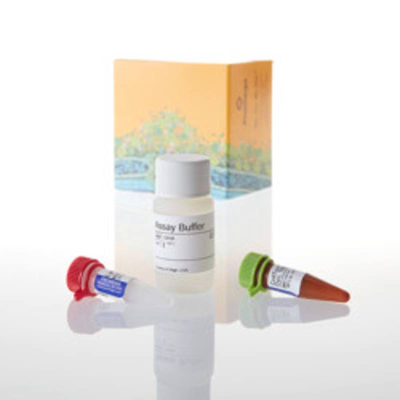 CellTox(TM) Green Cytotoxicity Assay, 10 ml