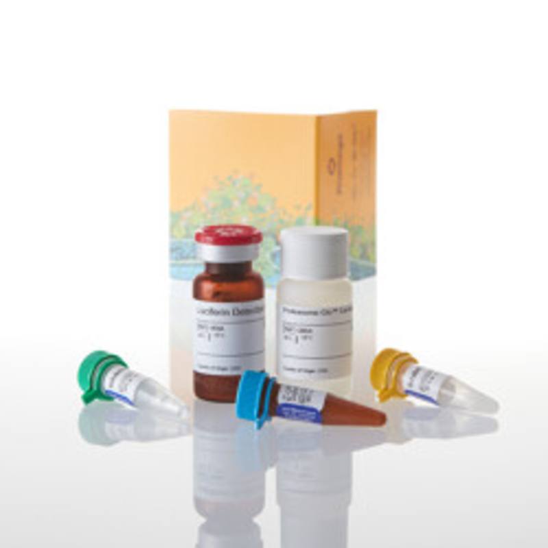 Proteasome-Glo(TM) TrypsinLike Cell-Based Assay, 10ml