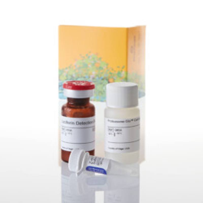 Proteasome-Glo(TM) CaspaseLike Cell-Based Assay, 10ml