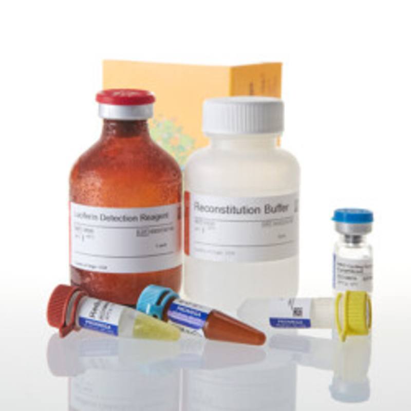 NAD/NADH-Glo(TM) Assay, 50ml