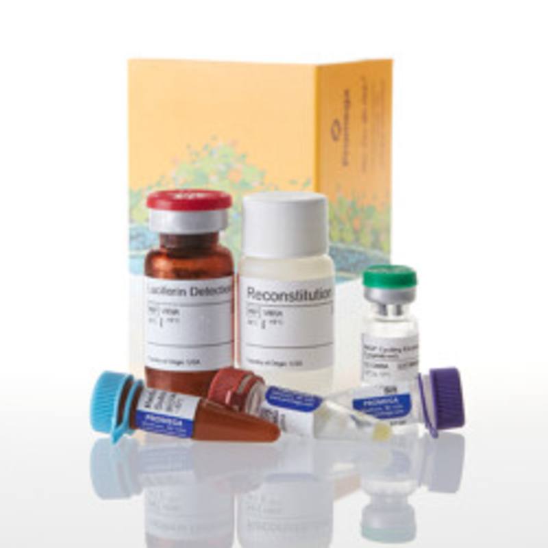 NADP/NADPH-Glo(TM) Assay, 10ml
