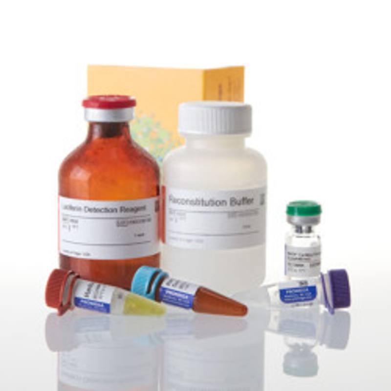 NADP/NADPH-Glo(TM) Assay, 50ml